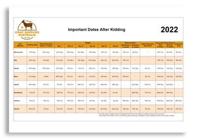 Kidding Date Table