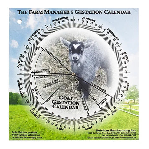 Gestational Calendar