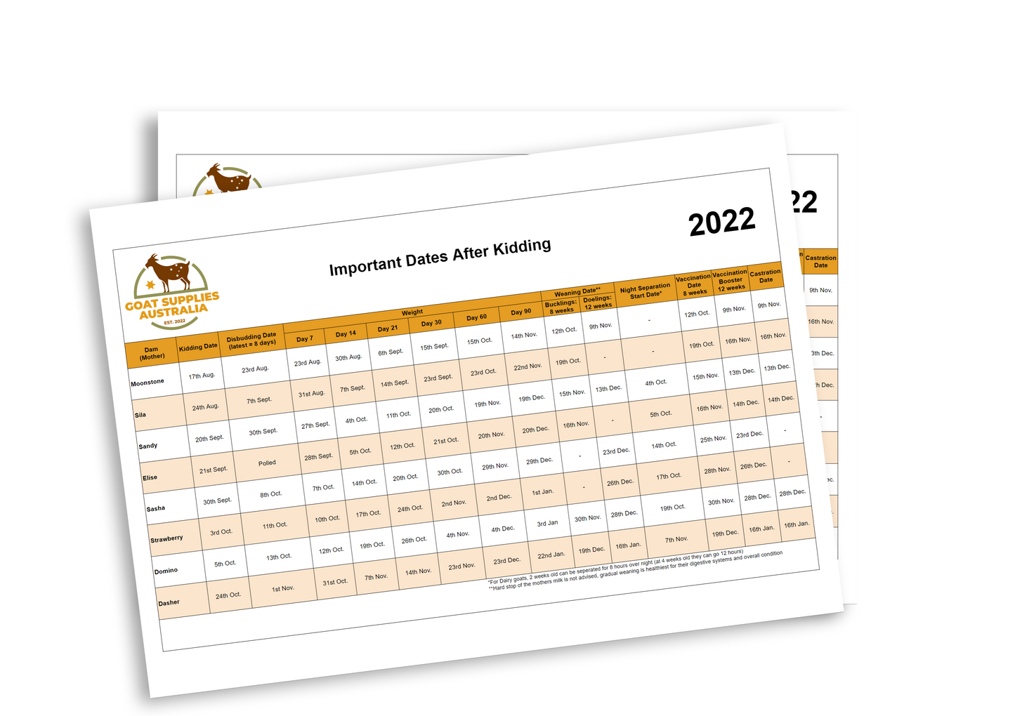 Kidding Date Table