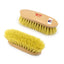 Stiff Grooming Brushes